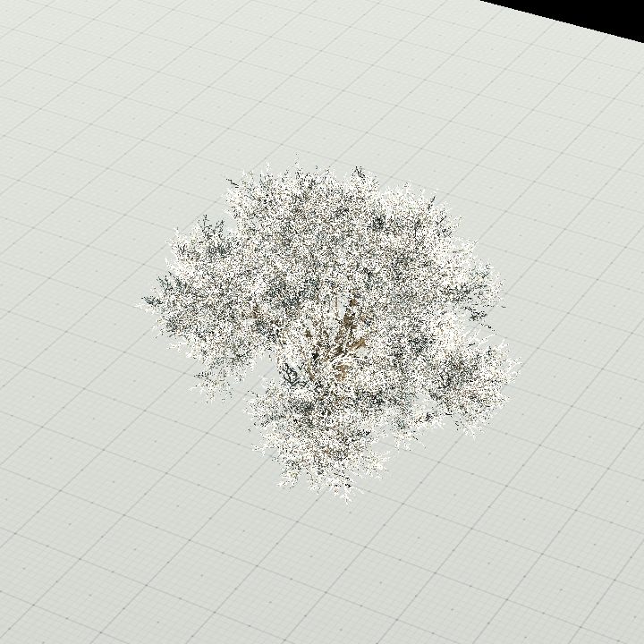 WinterTree 2