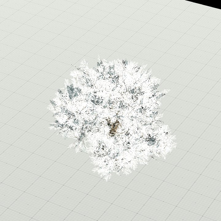 WinterTree 3