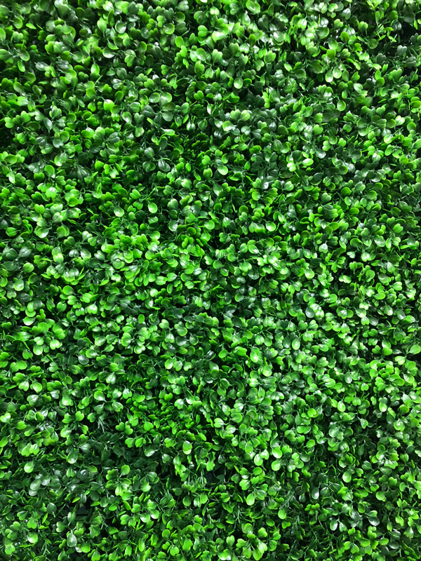 grass wall