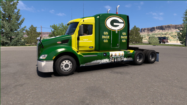 Packers Skin - PB579 Standup