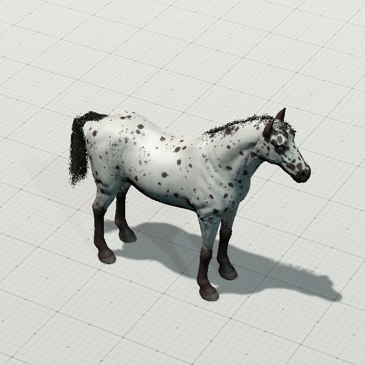 Spotted horse