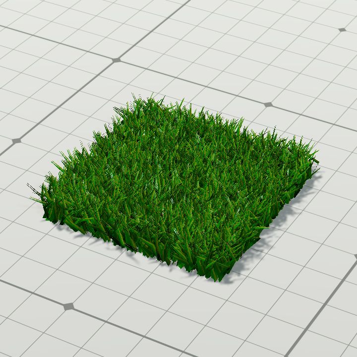 grass