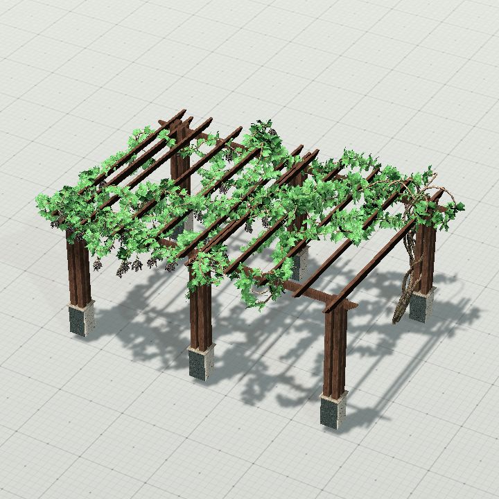 Grapevine Pergola