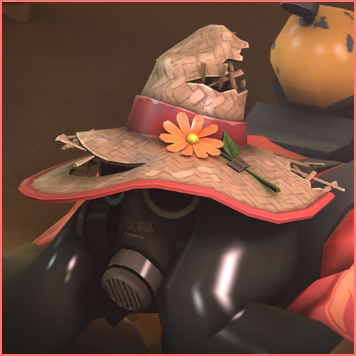 The scarecrow's hat