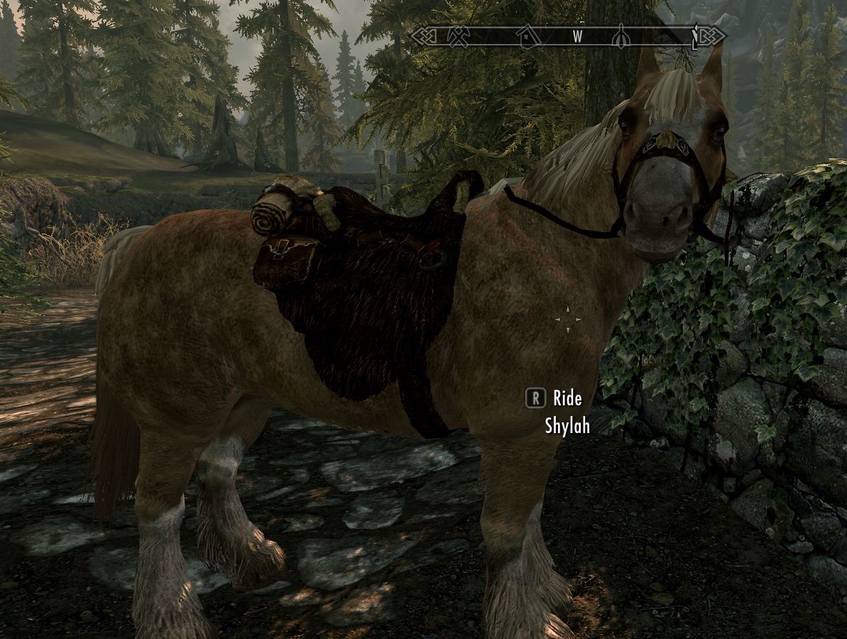 Shylah - Lady Steed of Akatosh