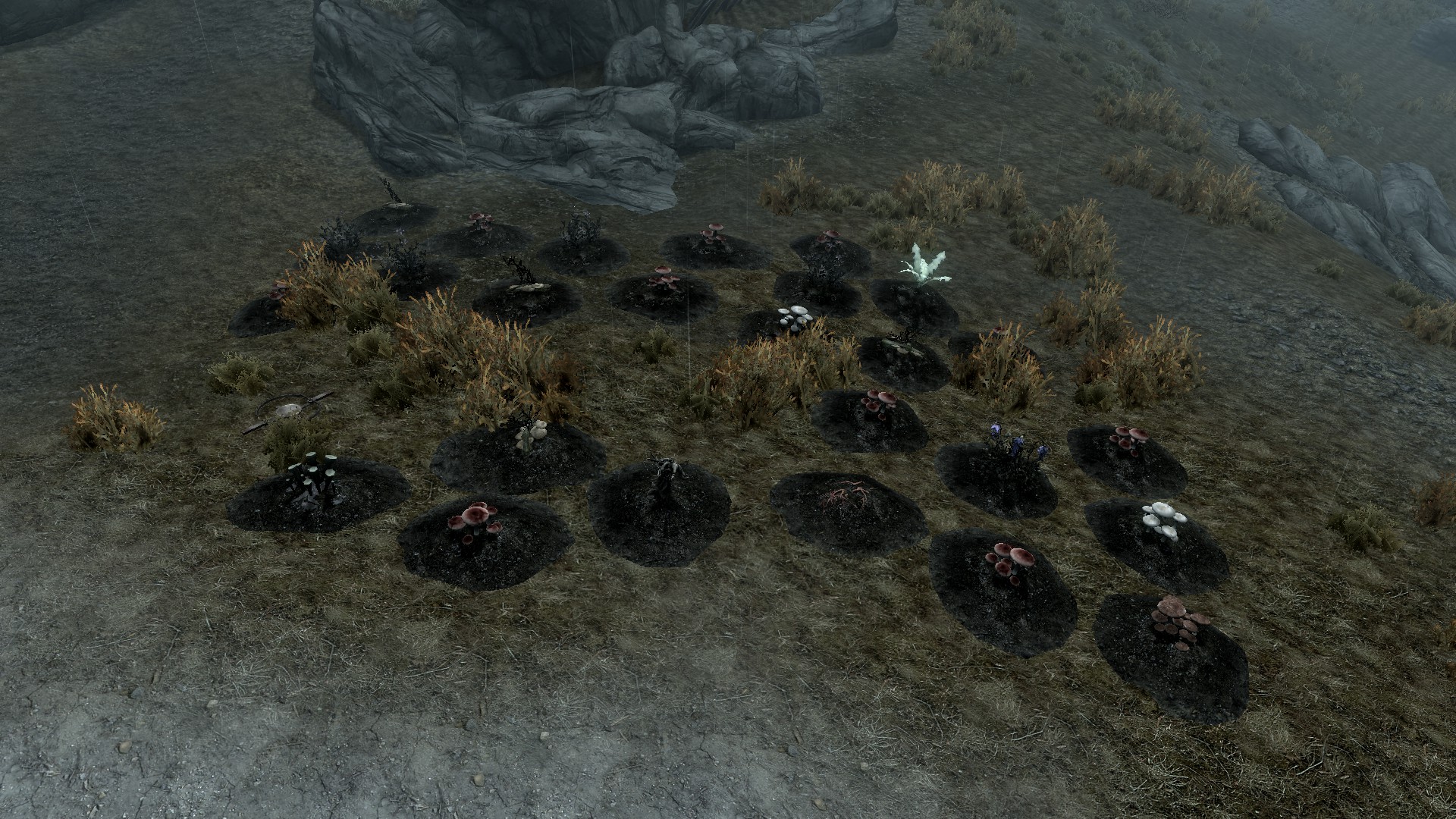 Serpent's Bluff Redoubt - Plantage