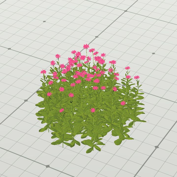 Pink flowers