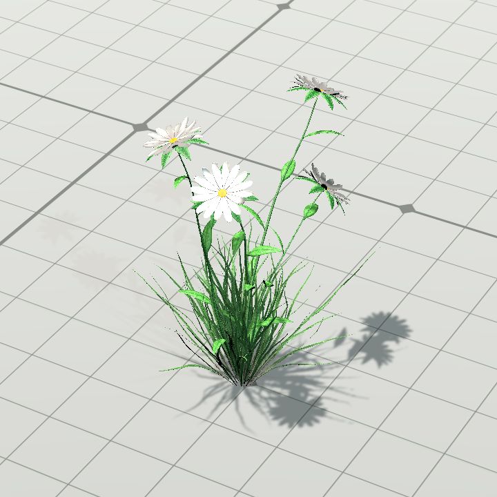 White flower