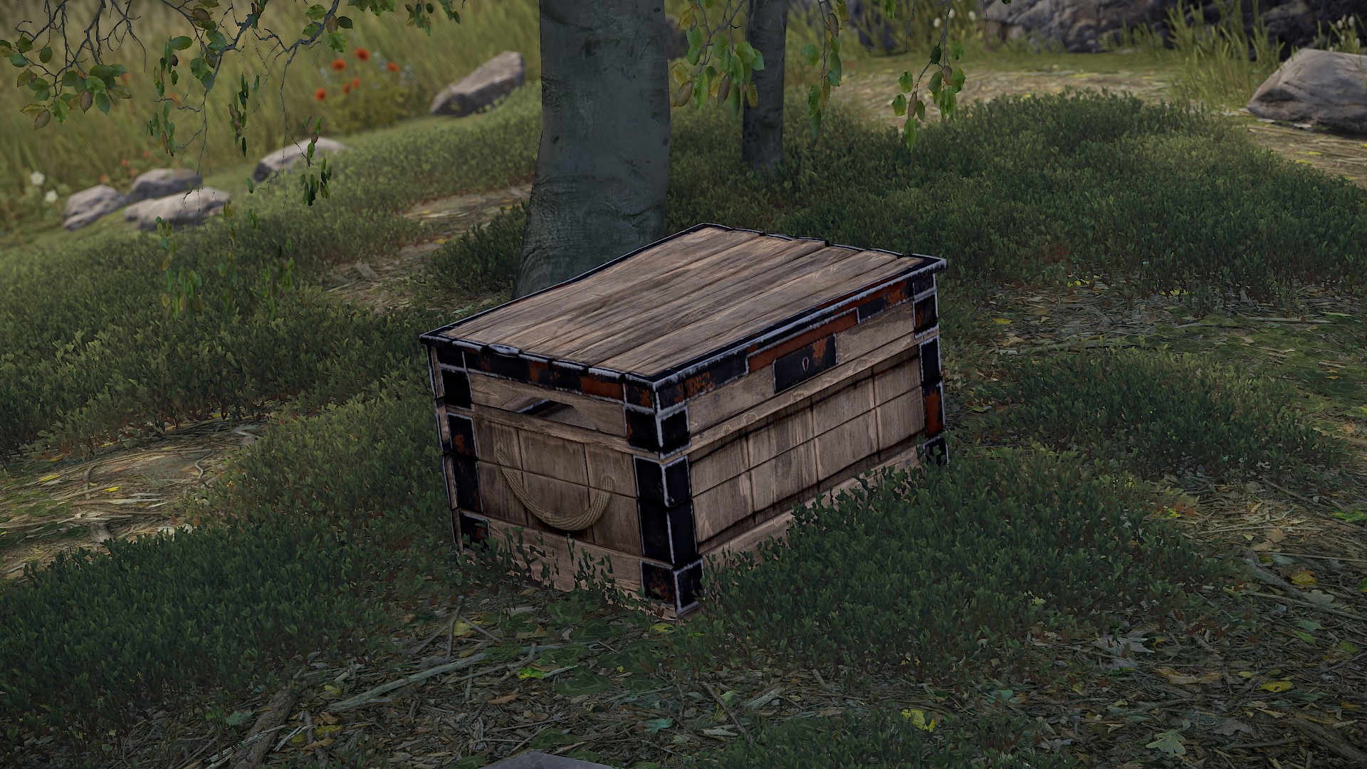 Large Small Box
