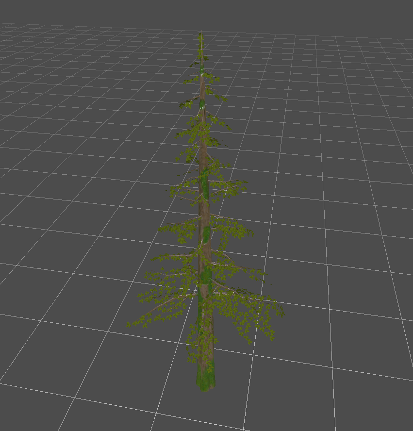 KRC_24_11_001_Conifer01