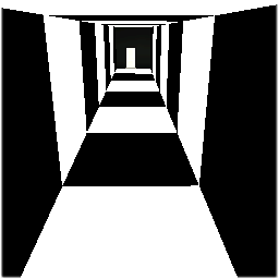 与黑、白共舞