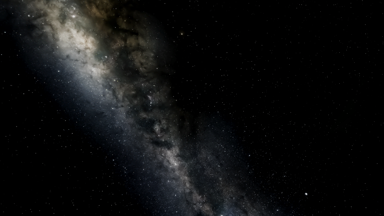 NEW SIMULATION