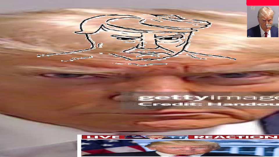 trump cat