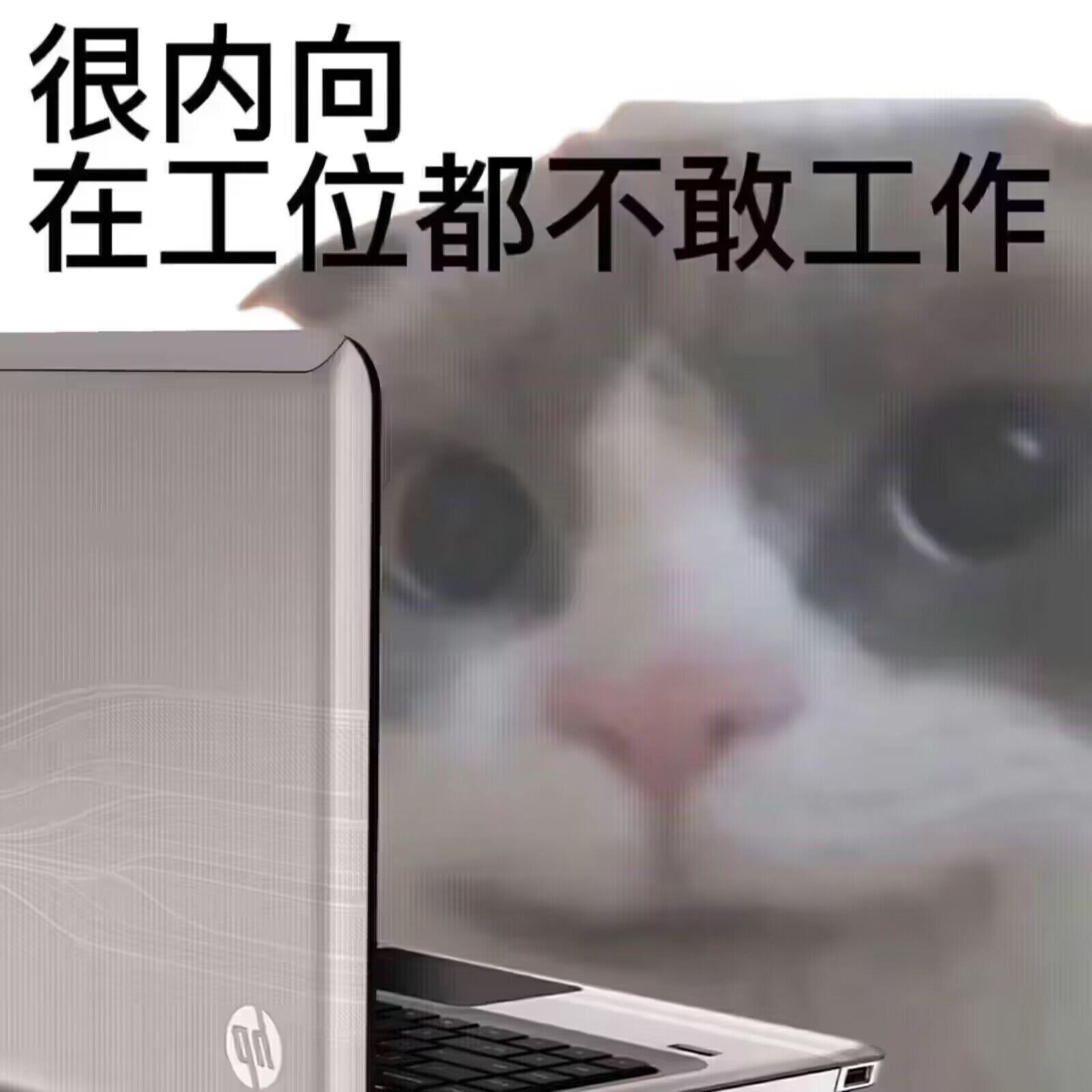 HostFix
