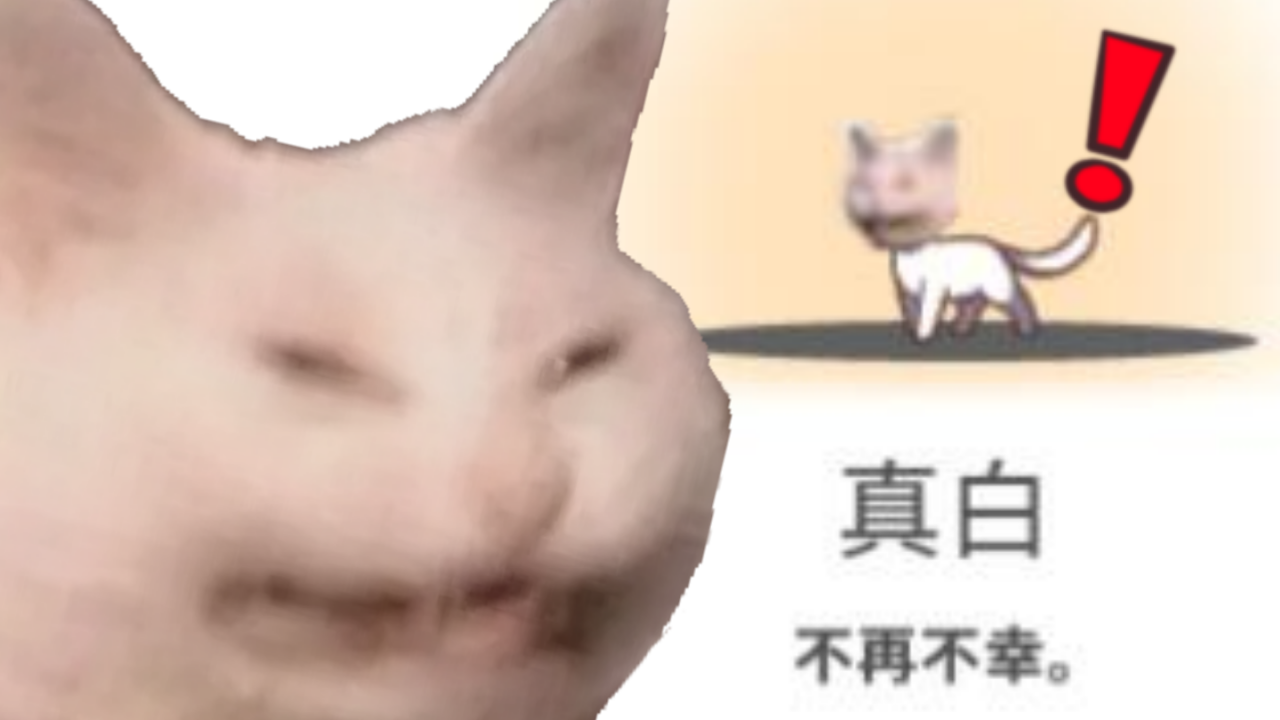 Kat真白 / Angry Masshiro
