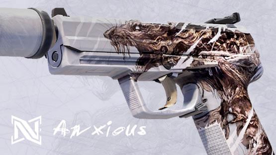 USP-S | Anxious
