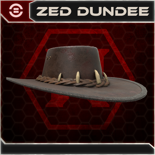 ZED Dundee