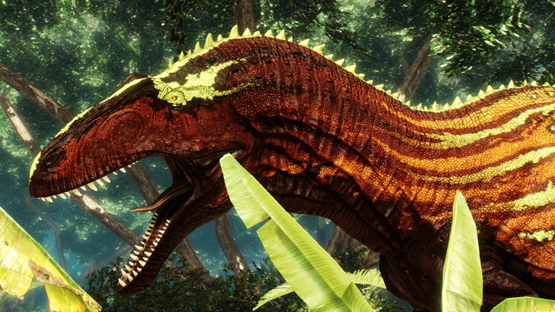 Madagascar Acro