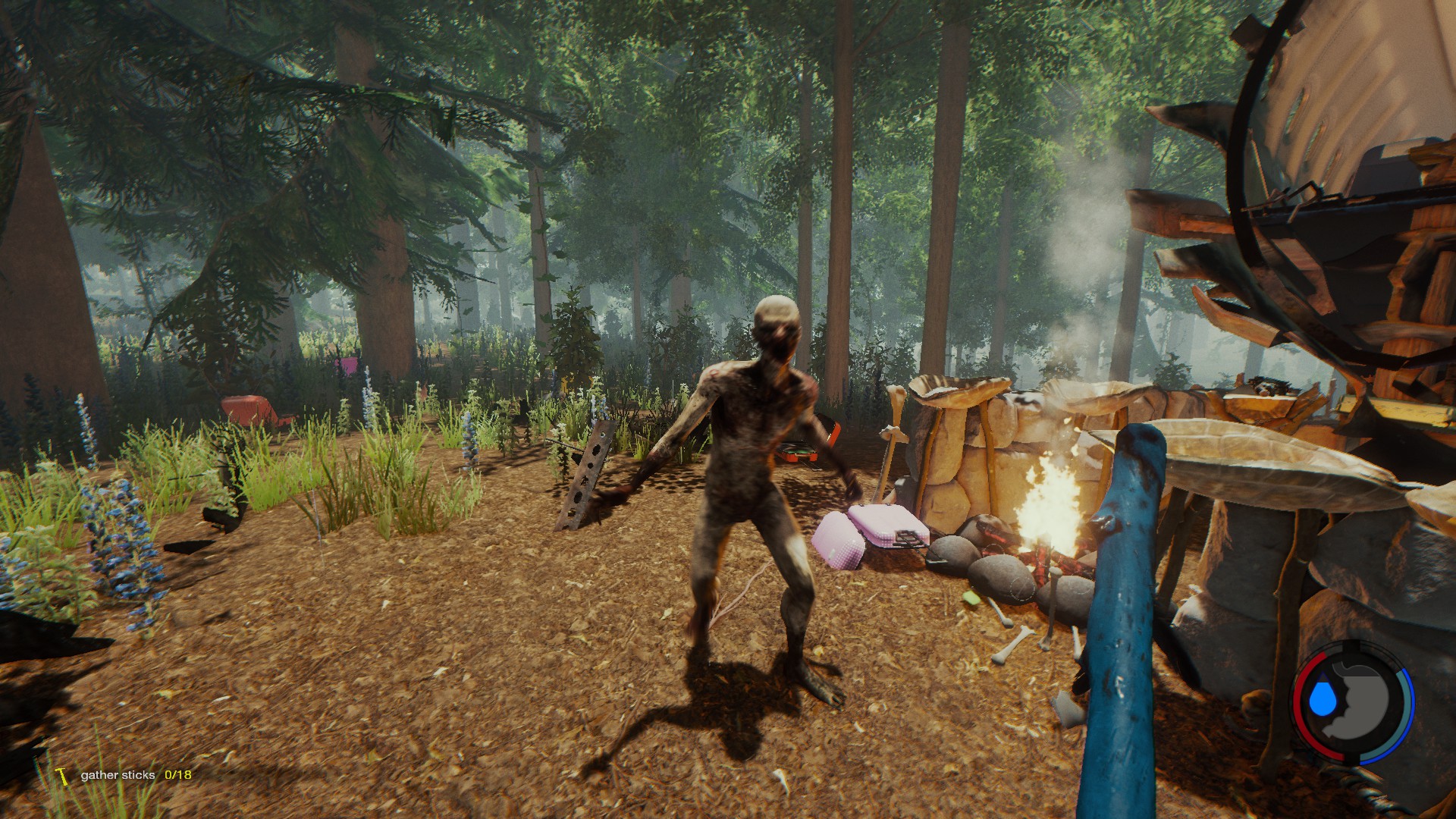 The Forest