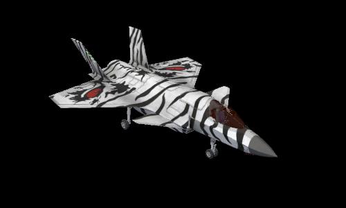 F45 Tiger meet 2017