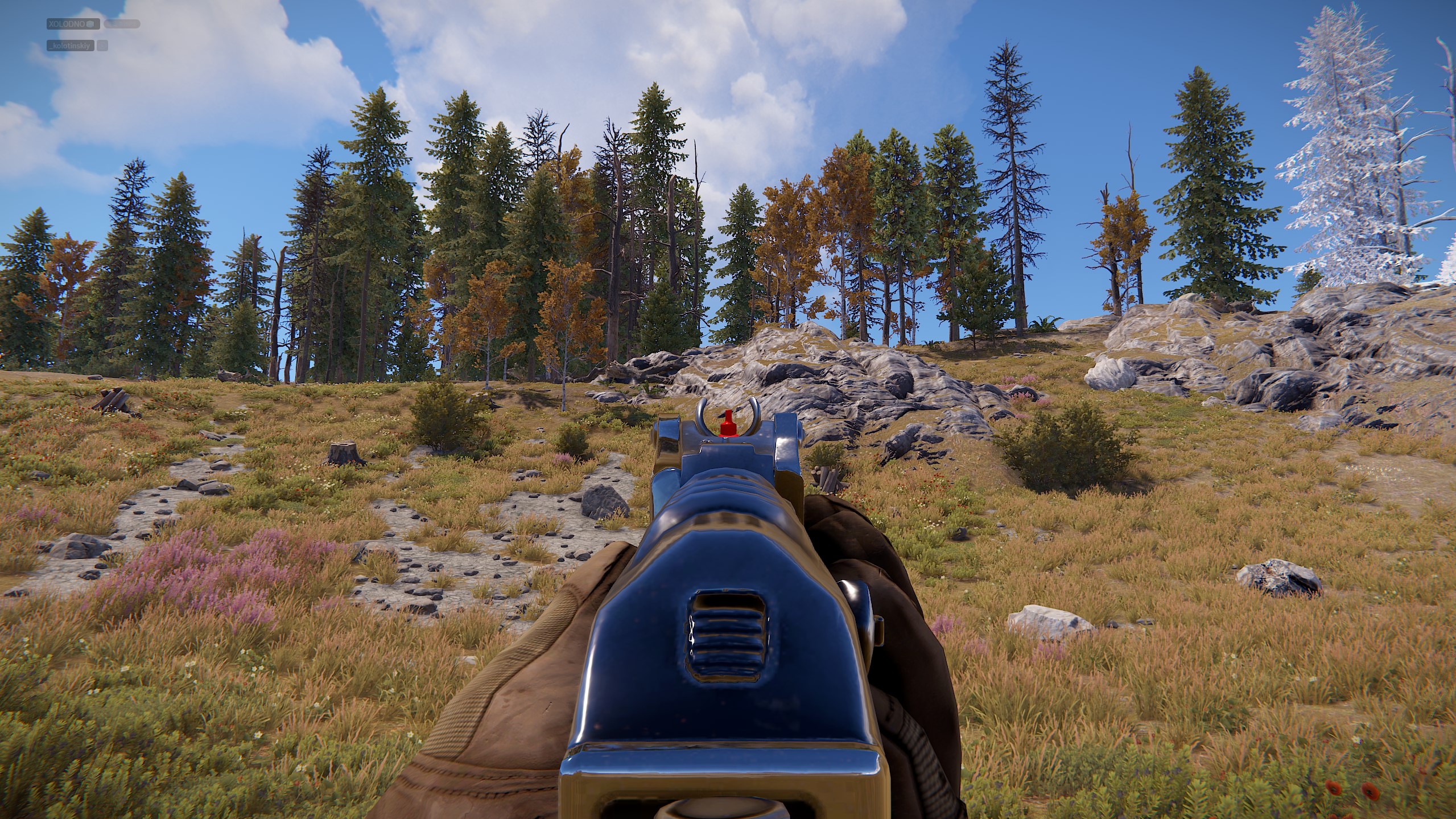 Black Ops AR