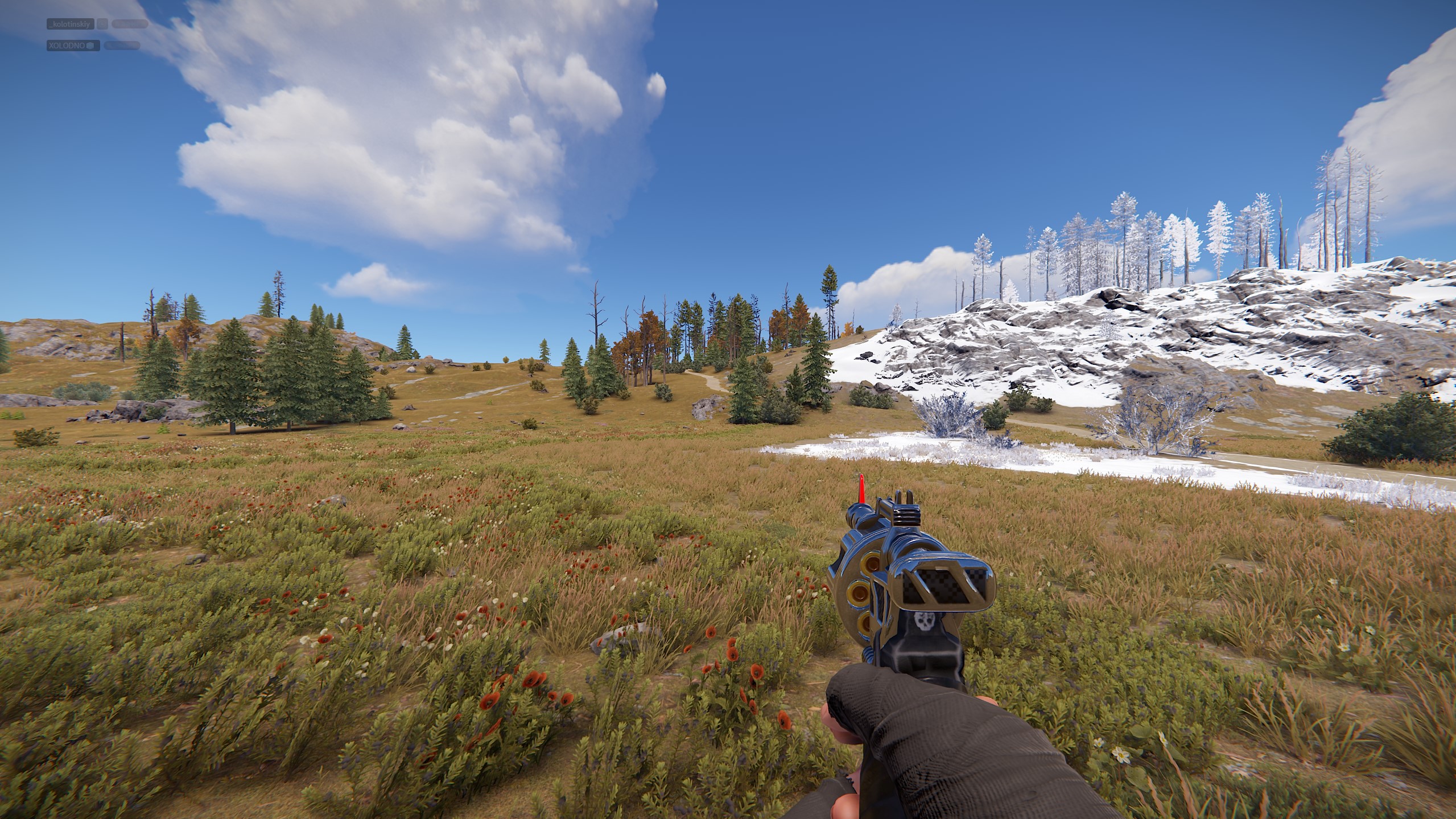 Black Ops Revolver screenshot 1
