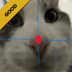 professionalism
