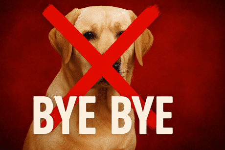 Bye Bye Dogs