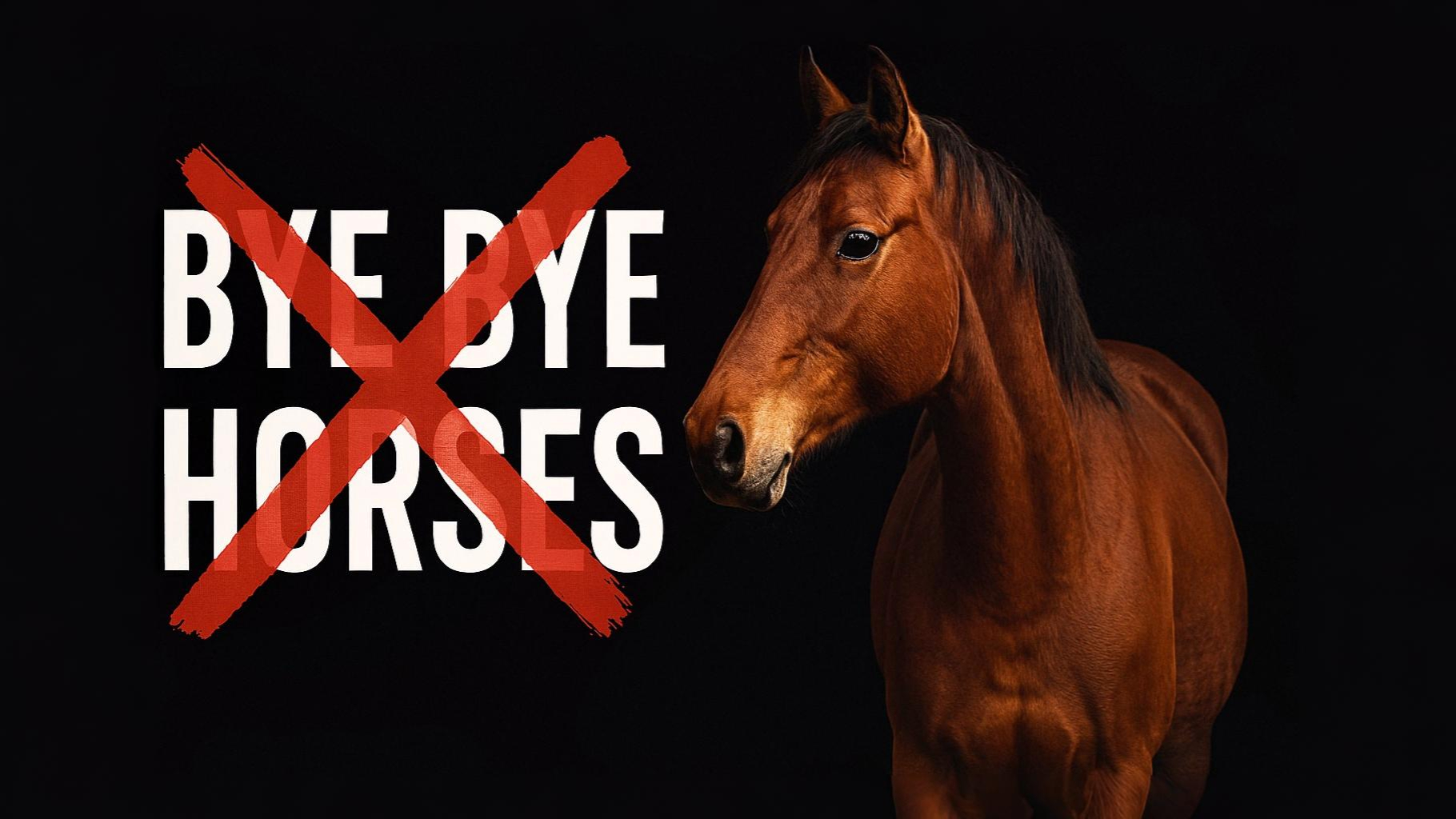 Bye Bye Horses
