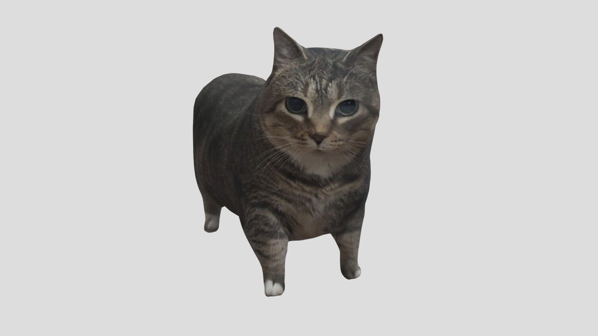 OIIA Cat - Arrow Replacer