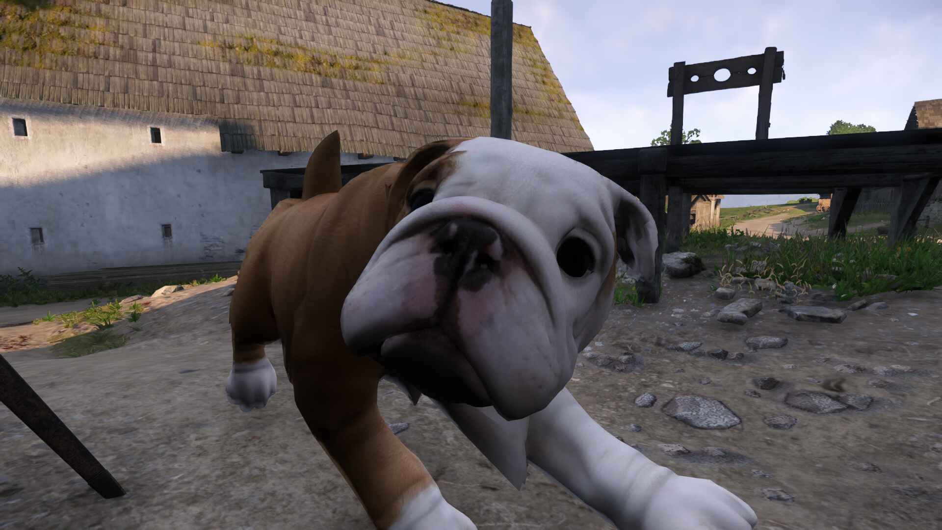 Big Pug - Mutt Replacer