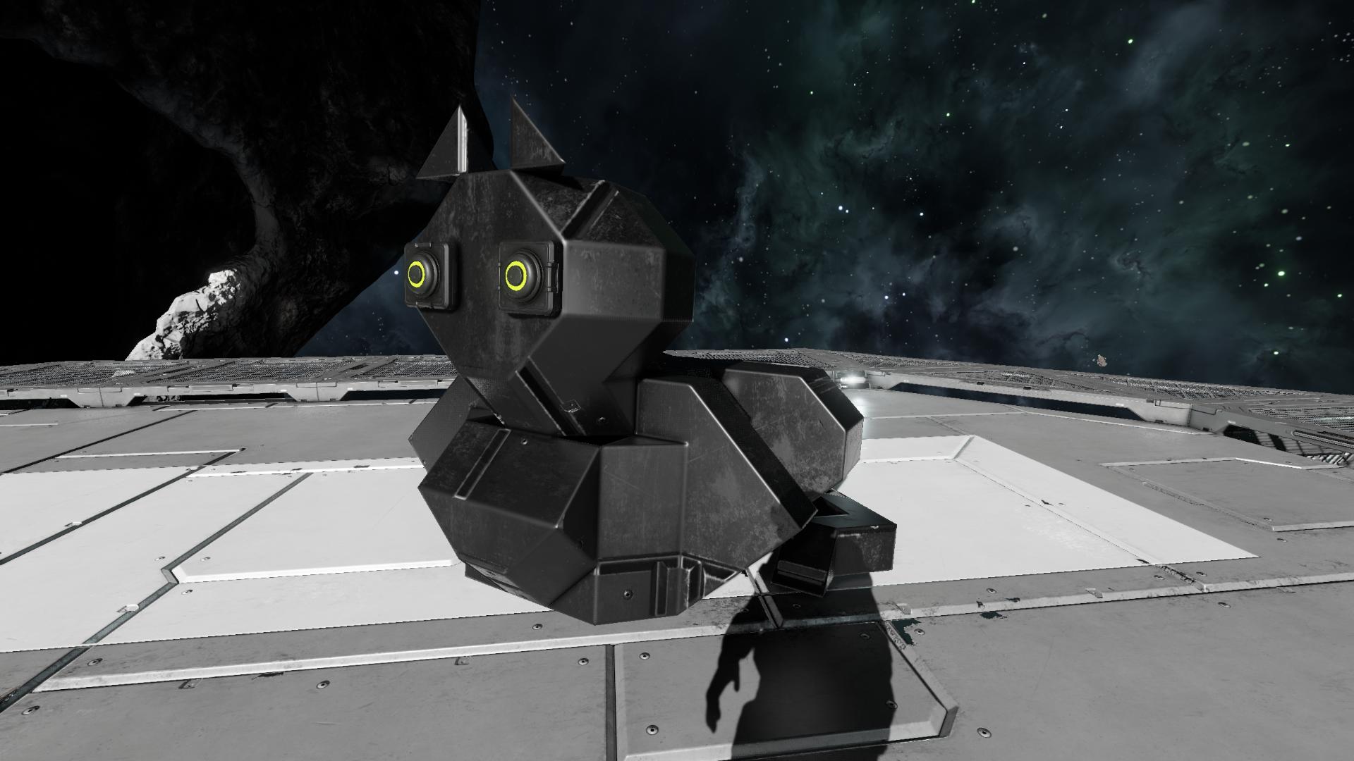 "cat"
