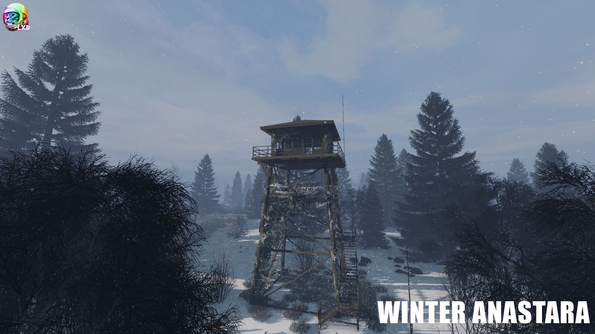 Winter Anastara
