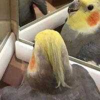 Я