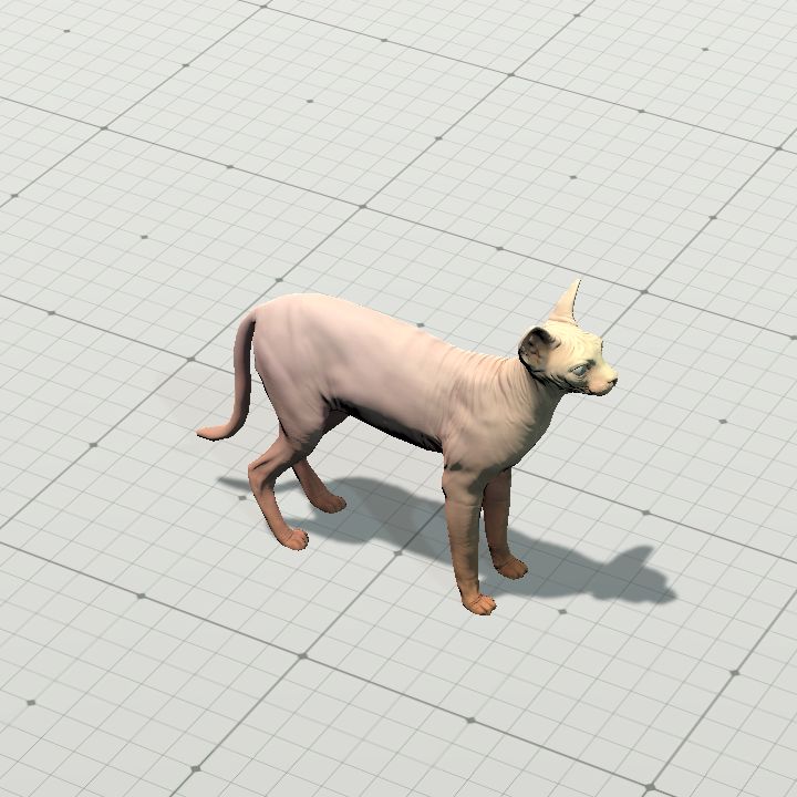 sphynx cat (animated)
