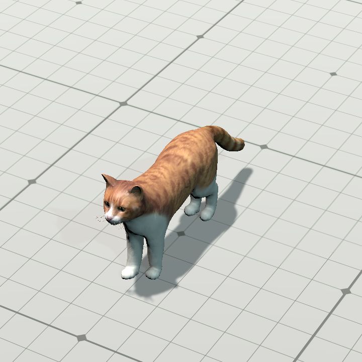 bicolor Cat (animated)