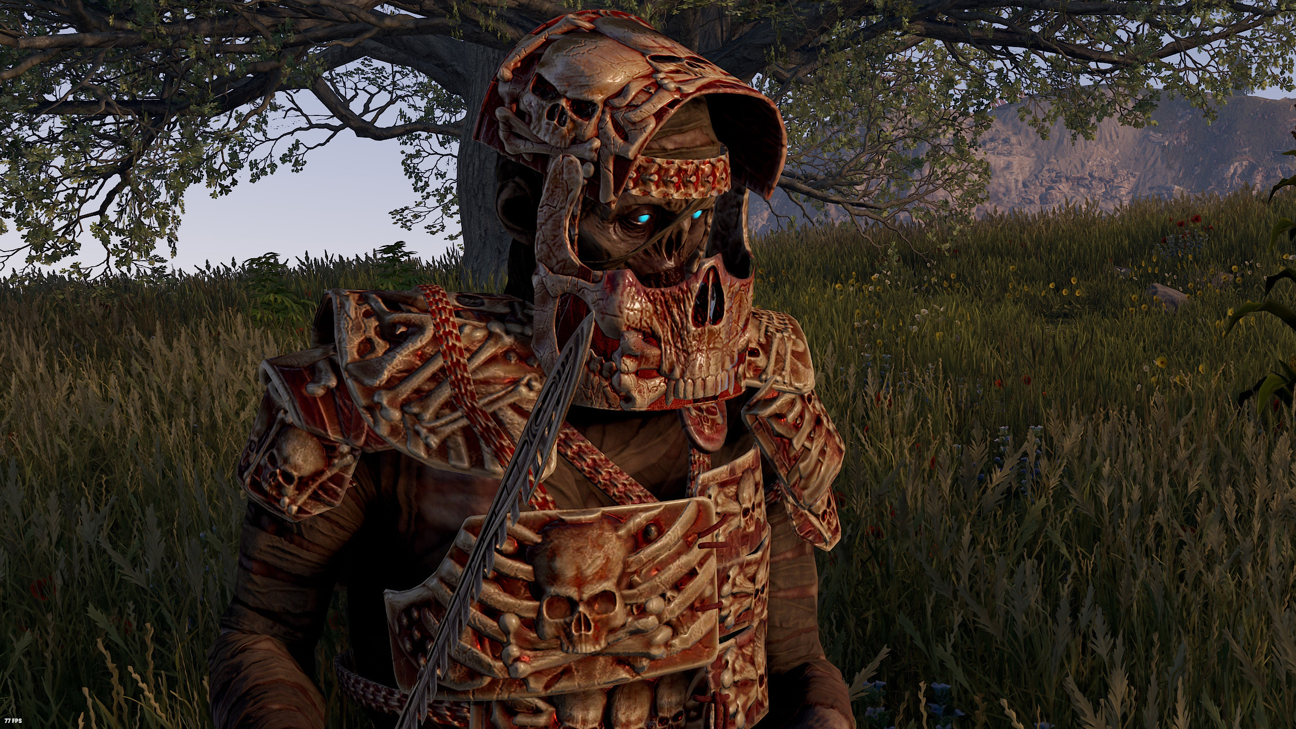 The Fallen Helmet thumbnail 8
