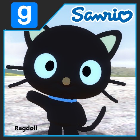 Chococat (Ragdoll)

