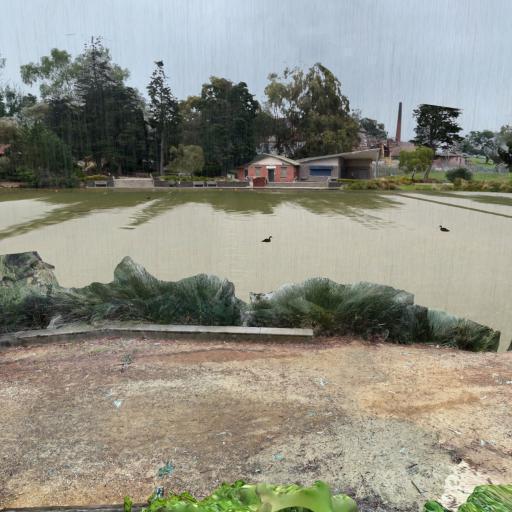 Rainy Duck Pond test - Photoscan