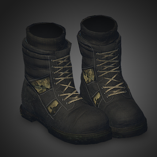 Hiking boots