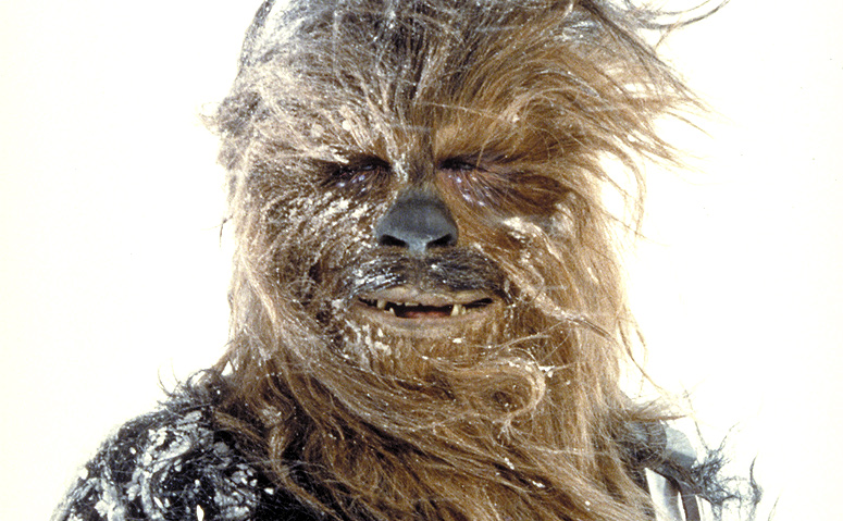 Chewbacca