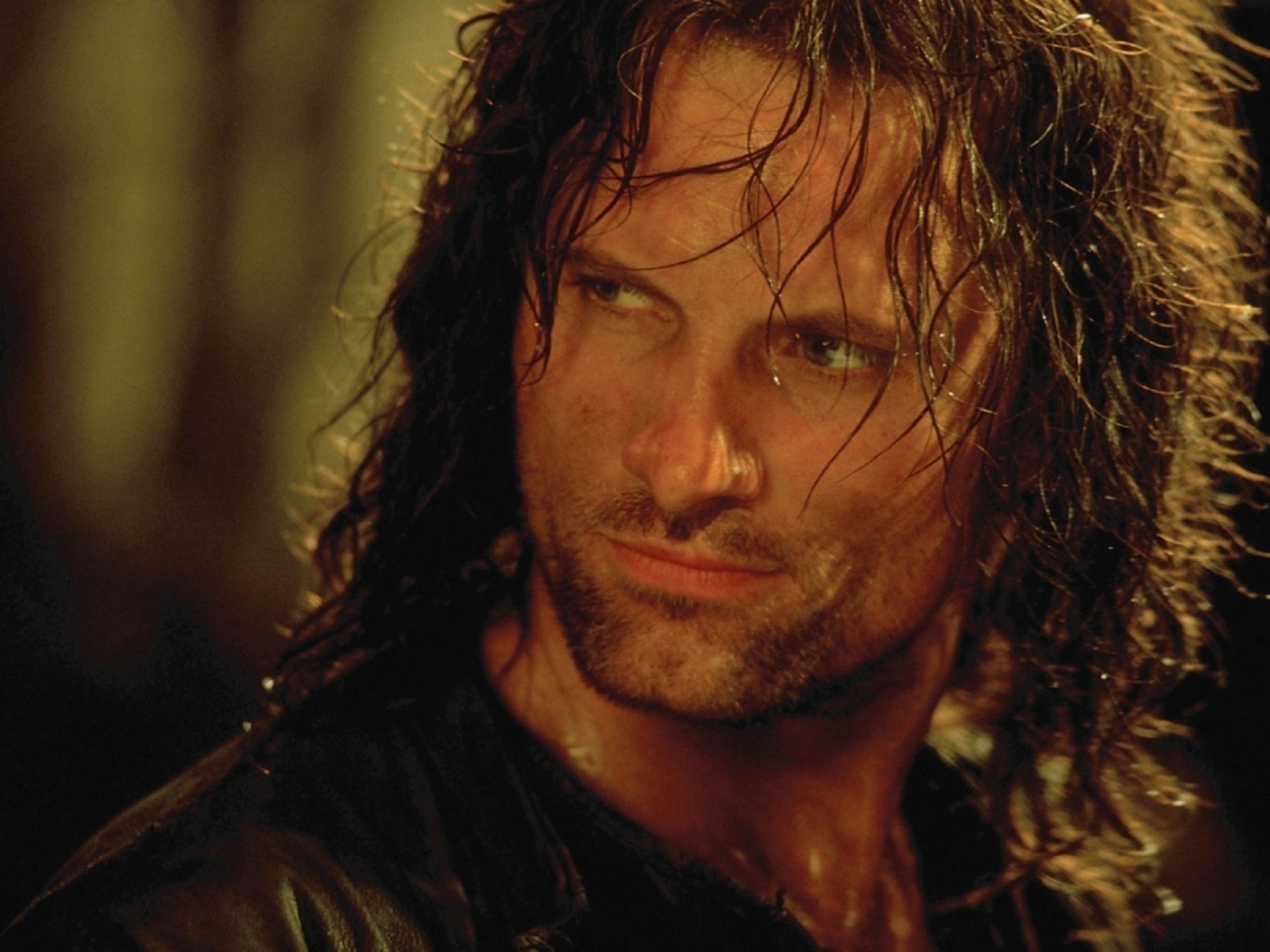 Viggo 2