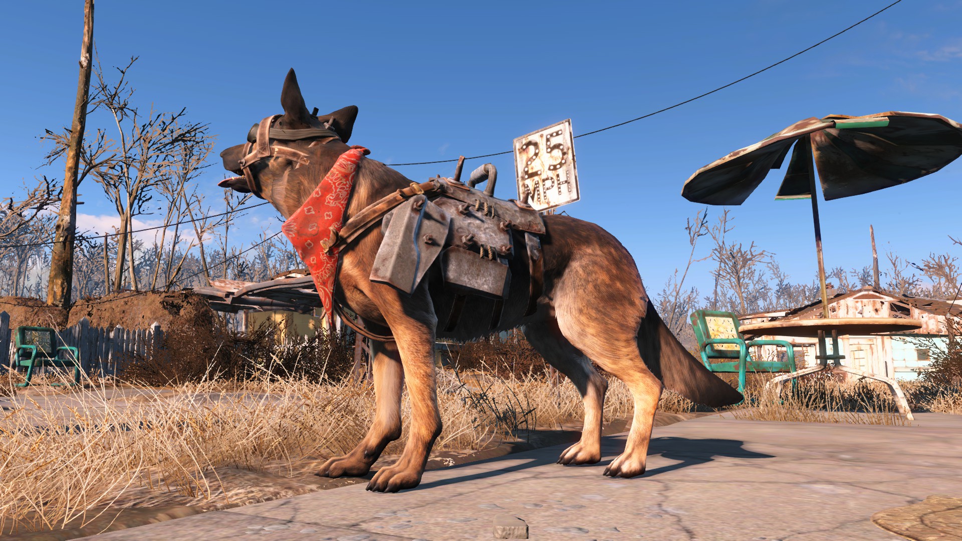 Steam Community :: Guide :: How to Dress Up/ Equip Dogmeat, Codsworth ...