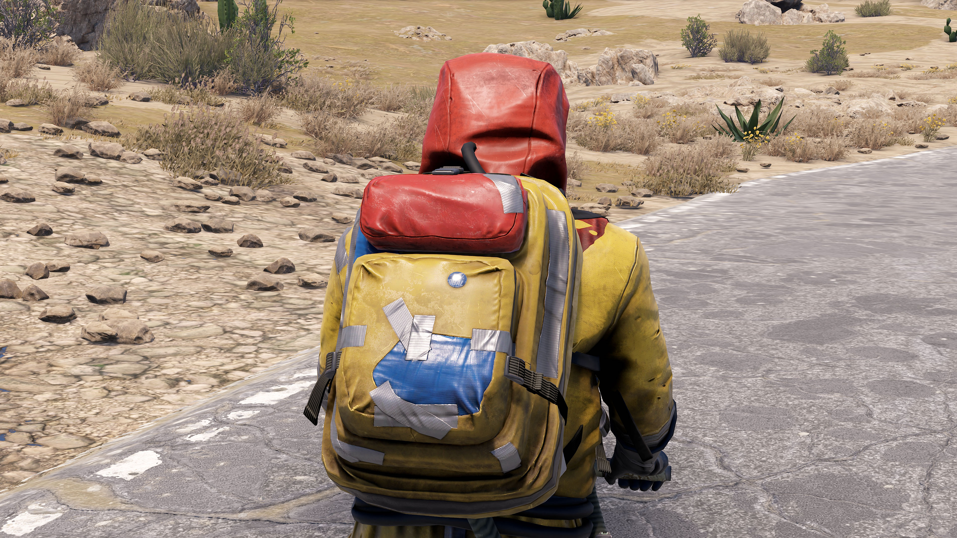Large Hazmat Backpack