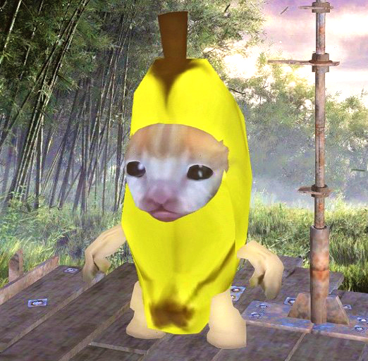 New Race happy cat