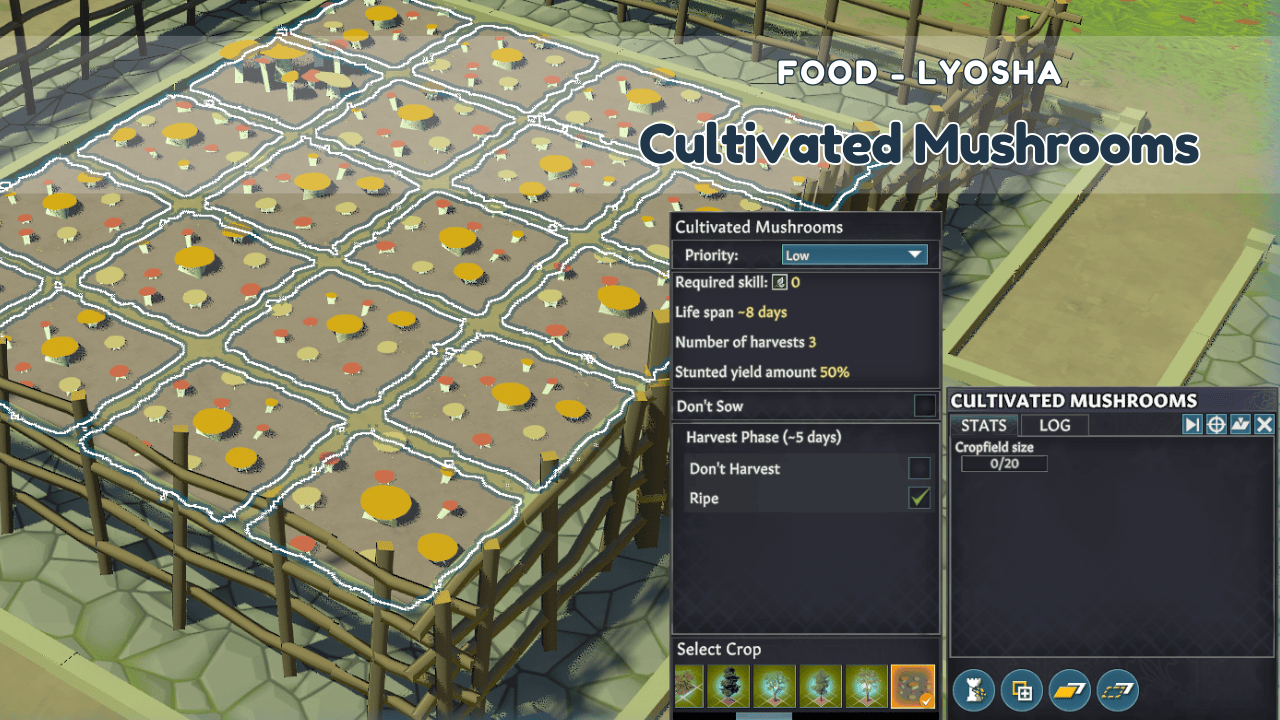 Food - Cultivated Mushrooms