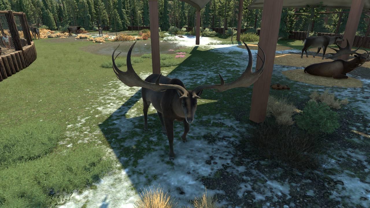Iceage Park