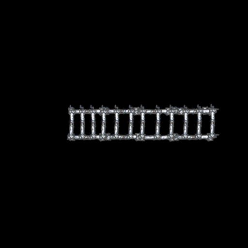 Bones ladder