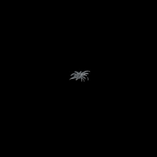 Cavern plant 4