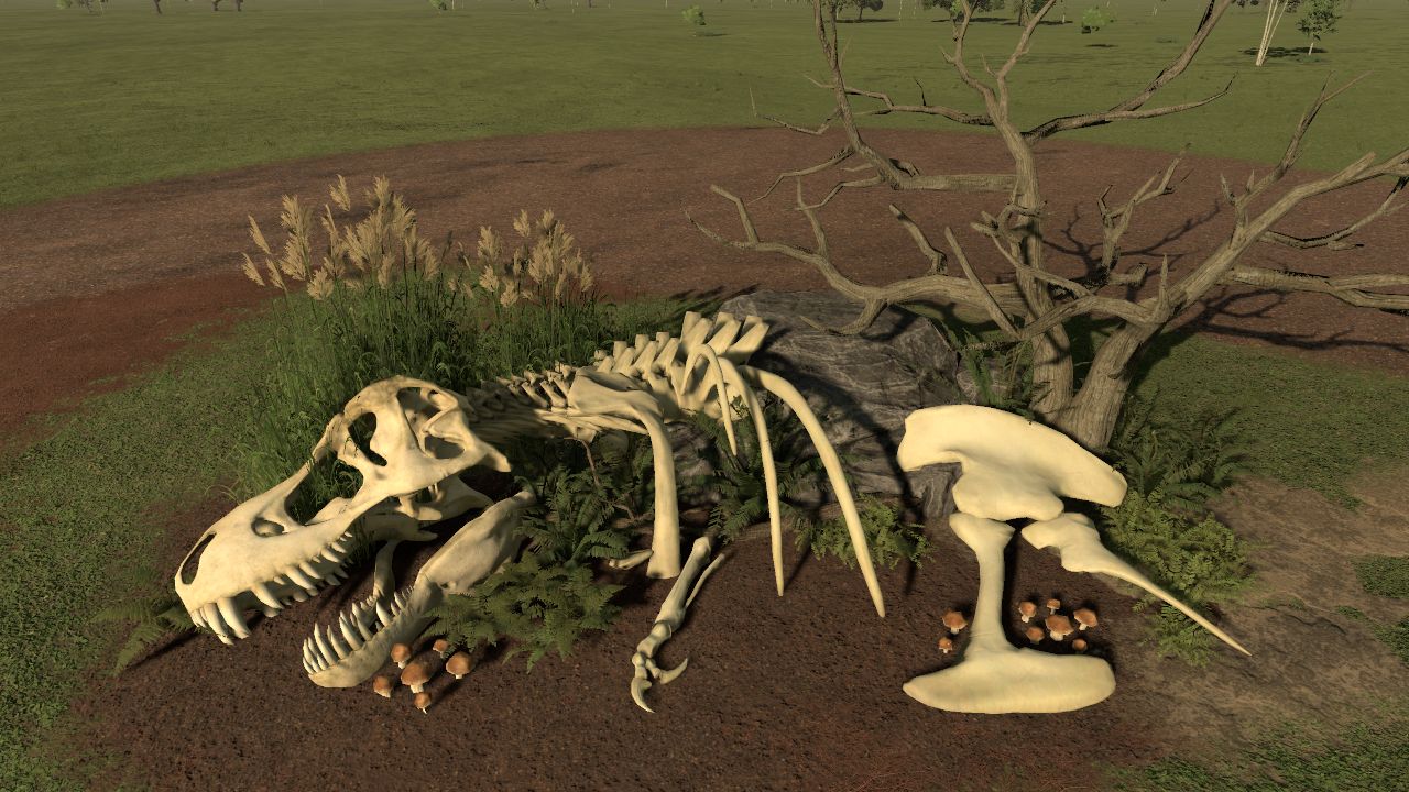 Tyrannsaurus Decomp